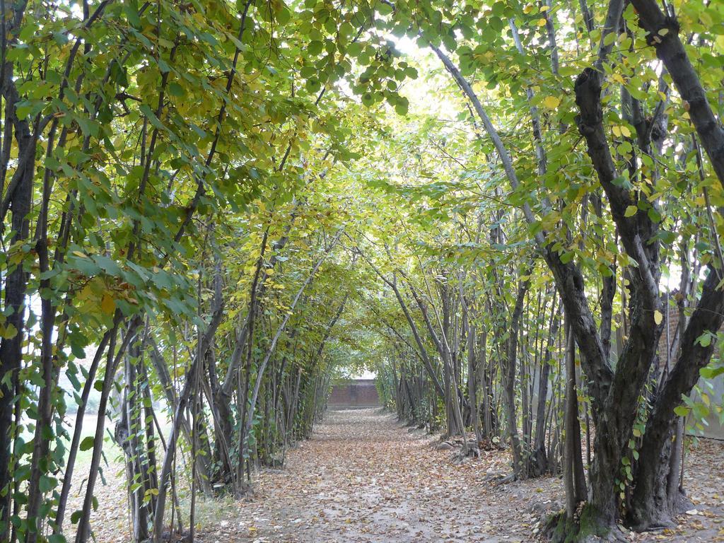 Bed and Breakfast Al Concerto San Benigno Canavese Екстер'єр фото