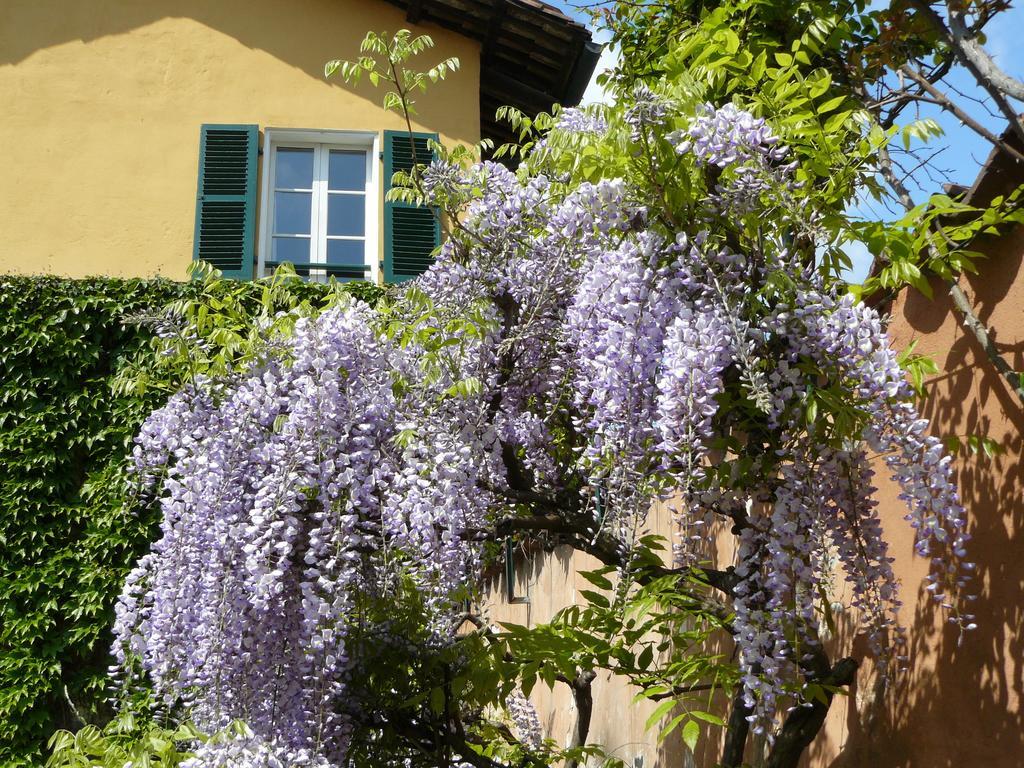 Bed and Breakfast Al Concerto San Benigno Canavese Екстер'єр фото